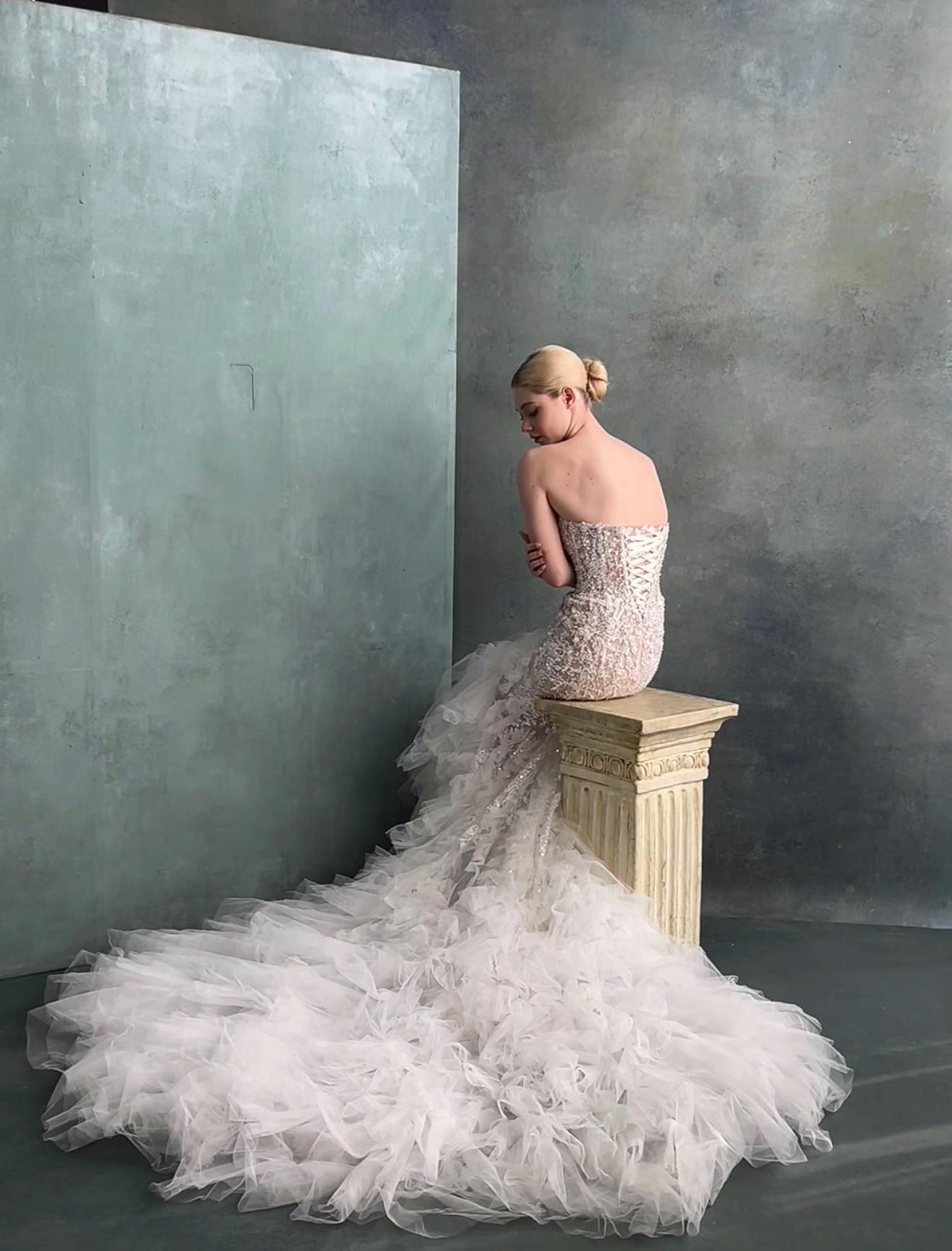 Strapless Mermaid Wedding Dress, Lace Beaded, Long Tulle Train