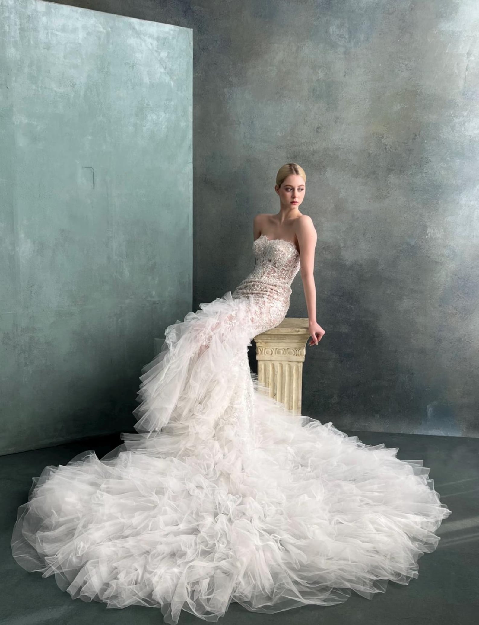 Strapless Mermaid Wedding Dress, Lace Beaded, Long Tulle Train