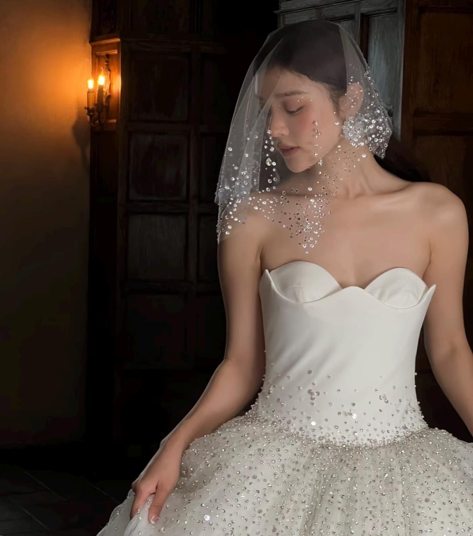Hand Sewn Rhinestone Birdcage Veil, Glitter Sheer Tulle Bridal Blusher Veil