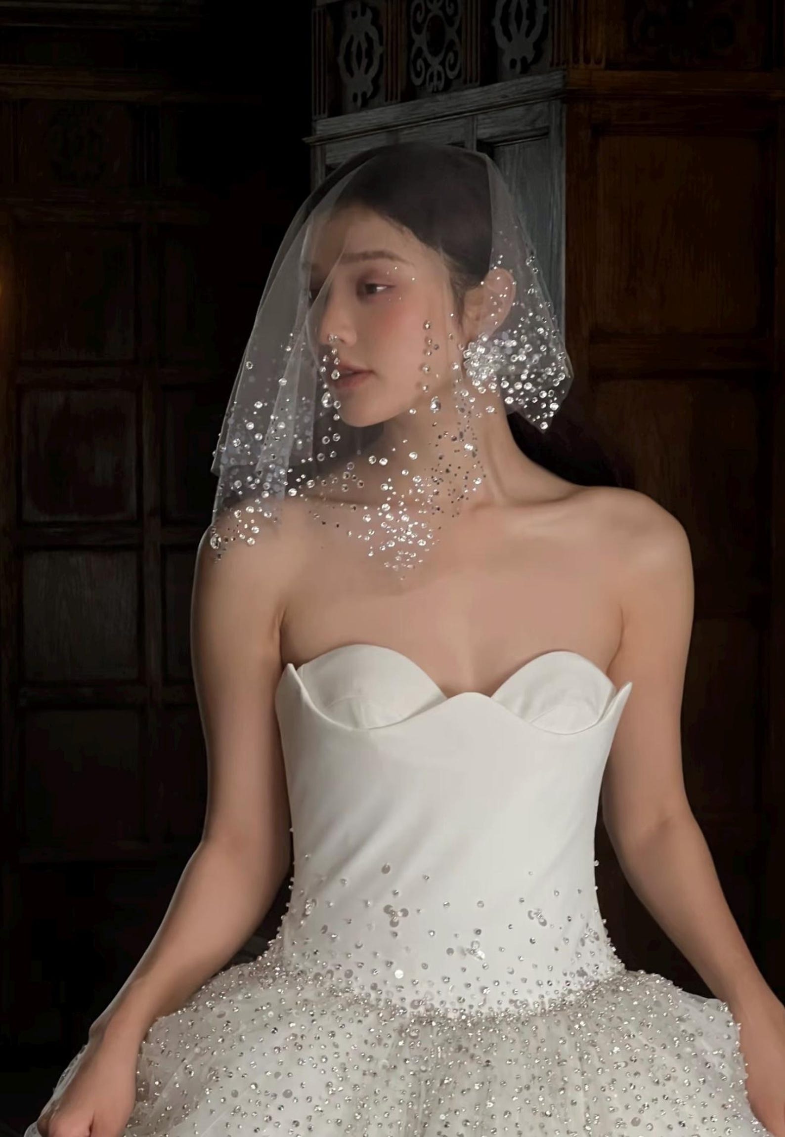 Hand Sewn Rhinestone Birdcage Veil, Glitter Sheer Tulle Bridal Blusher Veil