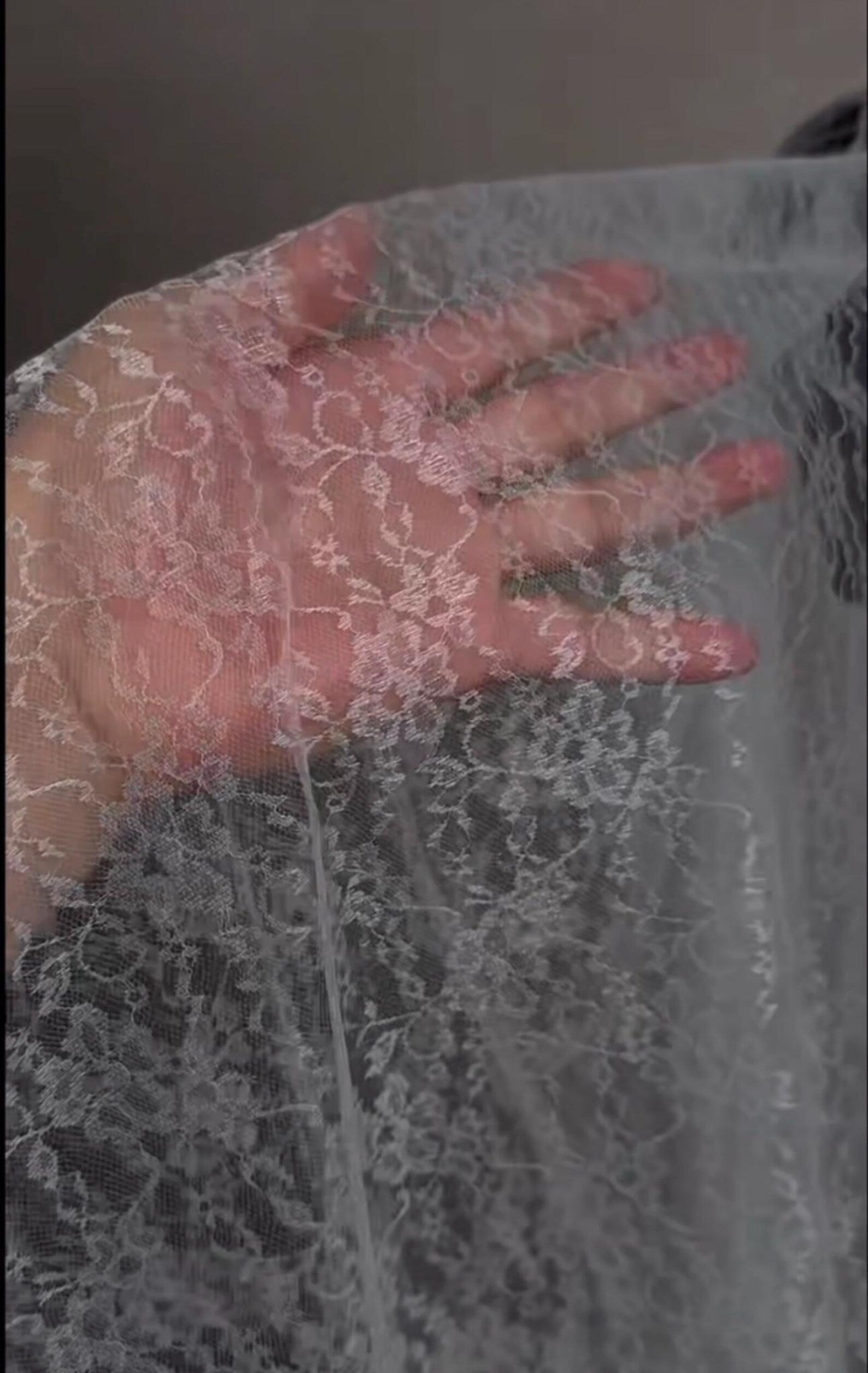 Vintage Floral Lace Bridal Veil, Full Coverage Blusher Wedding Veil, Romantic Sheer Lace Tulle Veil