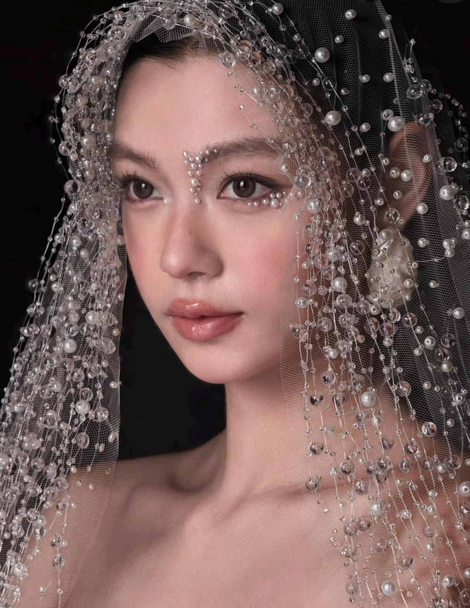 Luxury Crystal Pearl Bridal Veil, Beaded Bubble Net Wedding Veil, Sparkling Drop Bead Bridal Headpiece for Modern Bride