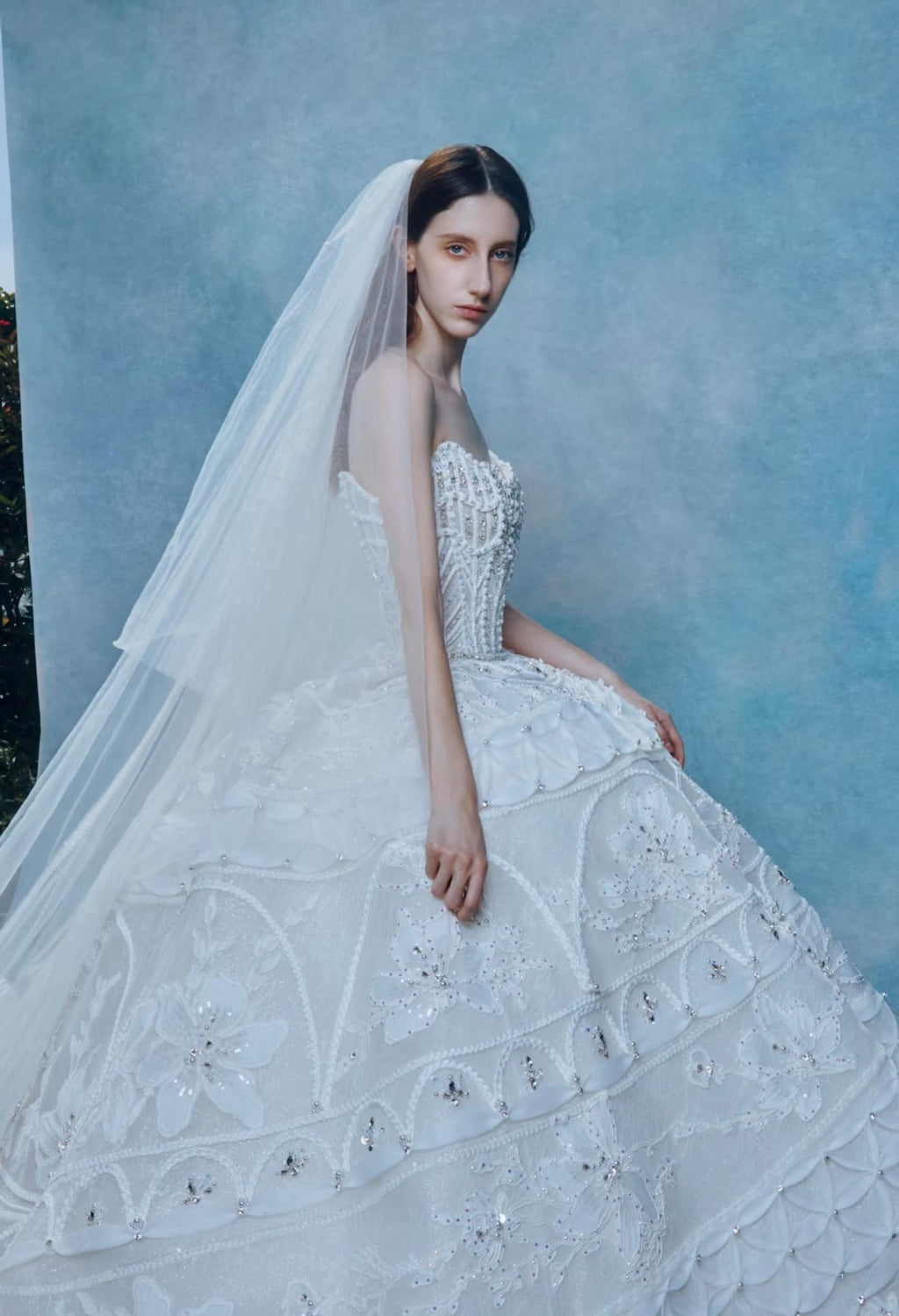 Luxury Strapless Ballgown Wedding Dress, Heavy Lace Embroidered Bridal Gown With Long Train