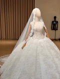 Strapless Corset Lace Wedding Dress, Sheer Illusion Bodice Ball Gown with Train, Floral Lace Bridal Gown with Rose Veil