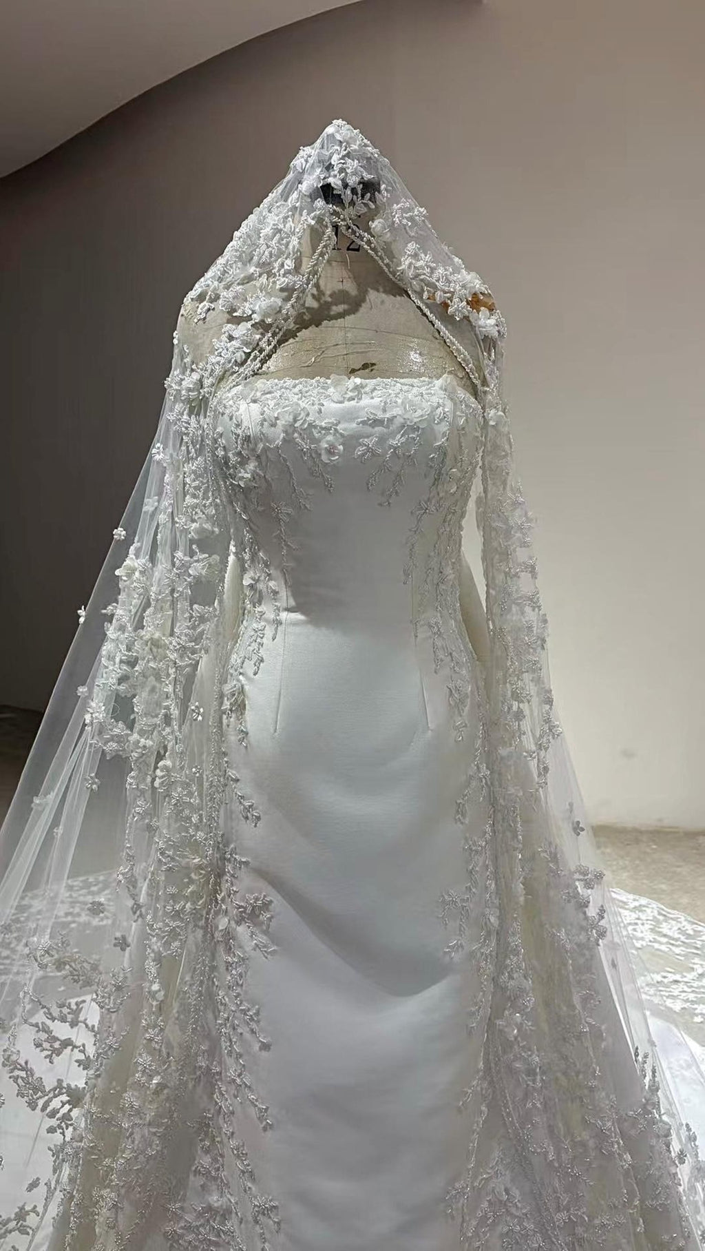 Cathedral Lace Wedding Veil, 3D Floral Appliqué Bridal Veil, Long Lace Edge Chapel Veil With Train