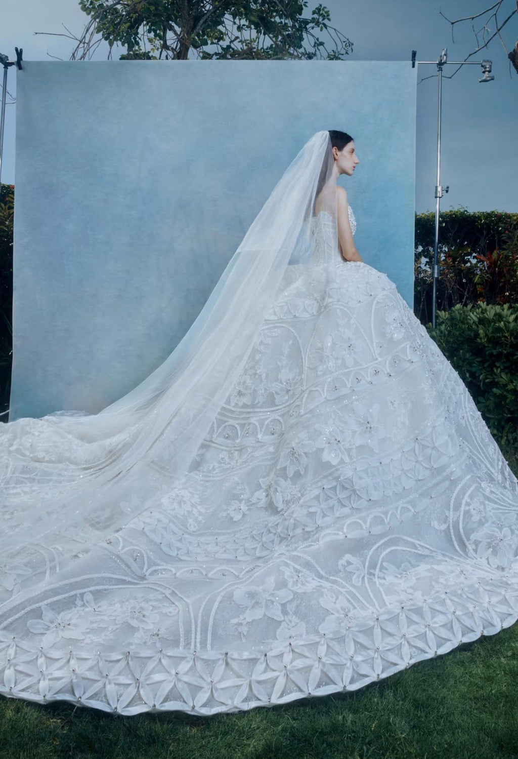 Luxury Strapless Ballgown Wedding Dress, Heavy Lace Embroidered Bridal Gown With Long Train