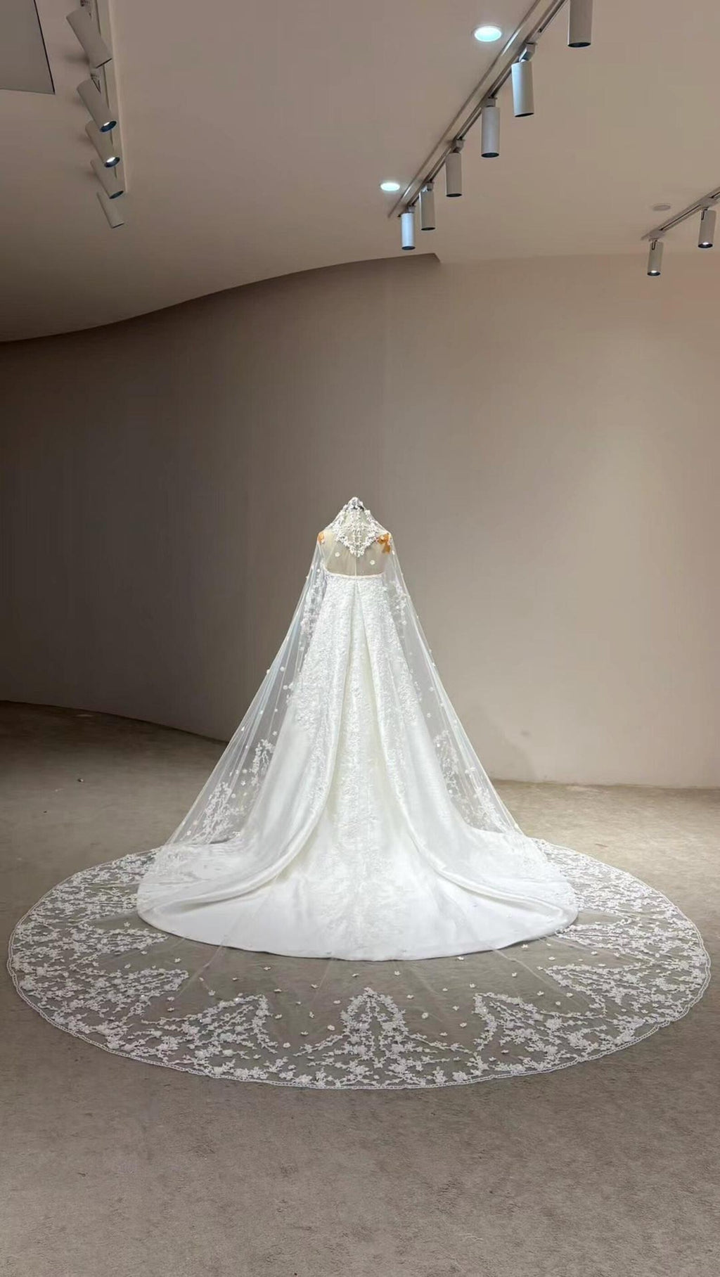 Cathedral Lace Wedding Veil, 3D Floral Appliqué Bridal Veil, Long Lace Edge Chapel Veil With Train