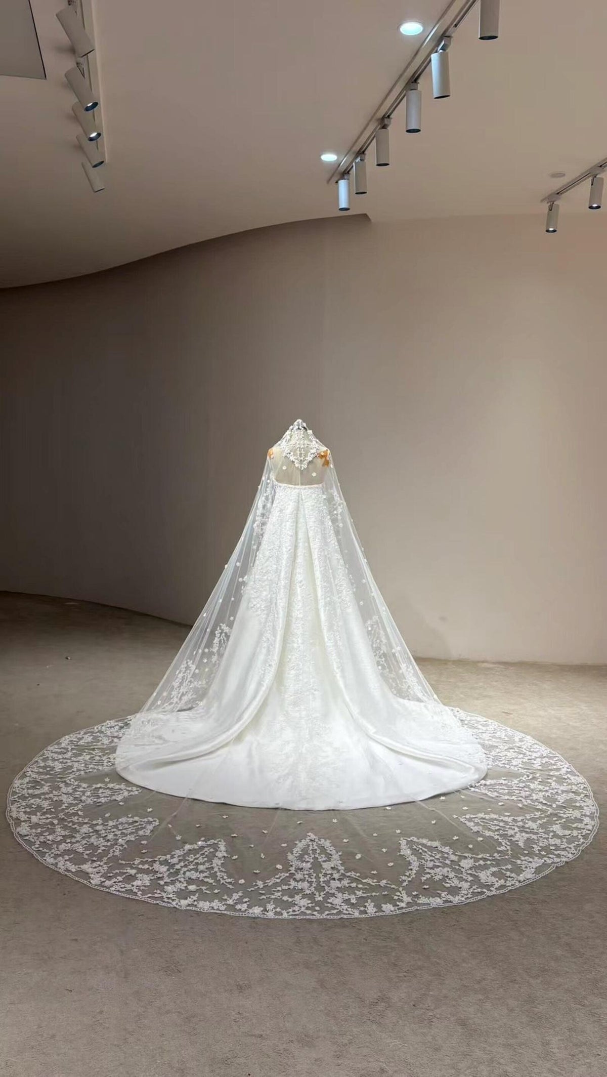 Cathedral Lace Wedding Veil, 3D Floral Appliqué Bridal Veil, Long Lace Edge Chapel Veil With Train